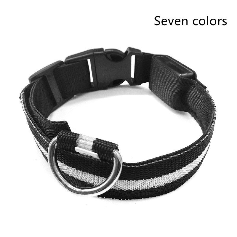 Collier Lumineux LED pour Chiens et Chats – Sécurité Nocturne, Réglable et Résistant à l’Eau