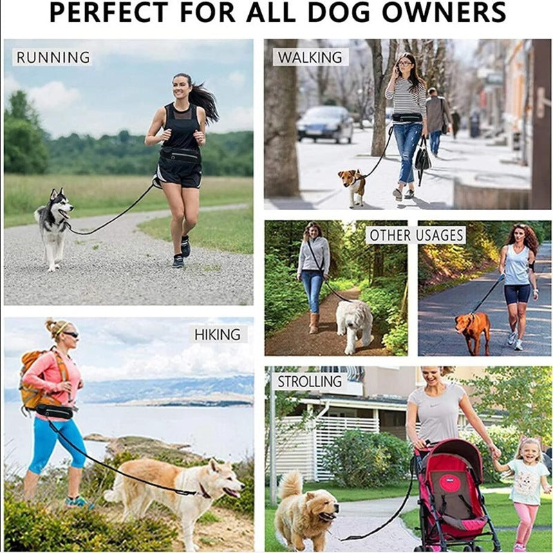 Laisse Mains Libres avec Ceinture pour Chien – Ceinture de Marche et d’Entraînement avec Amortisseur, Poche Téléphone et Porte-Gourde
