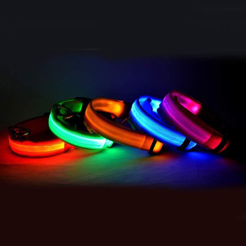 Collier Lumineux LED pour Chiens et Chats – Sécurité Nocturne, Réglable et Résistant à l’Eau