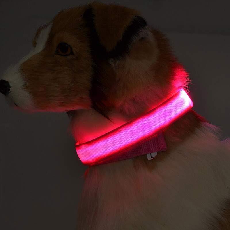 Collier Lumineux LED pour Chiens et Chats – Sécurité Nocturne, Réglable et Résistant à l’Eau