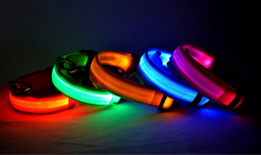 Collier Lumineux LED pour Chiens et Chats – Sécurité Nocturne, Réglable et Résistant à l’Eau