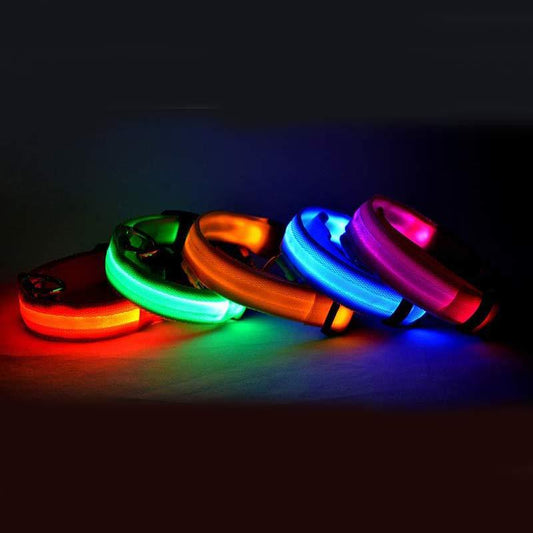 Collier Lumineux LED pour Chiens et Chats – Sécurité Nocturne, Réglable et Résistant à l’Eau
