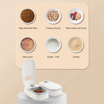 Distributeur Automatique Intelligent pour Animaux – Nourrisseur & Abreuvoir 2-en-1 pour Chats et Chiens