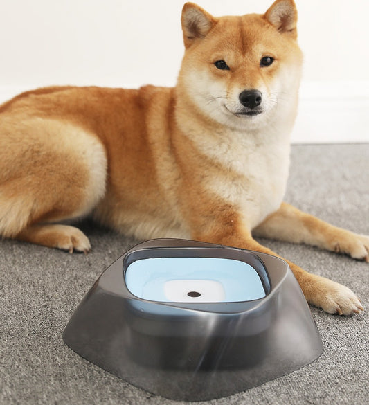 Bol d’Eau Anti-Éclaboussures pour Chiens et Chats – Design Flottant et Anti-Débordement