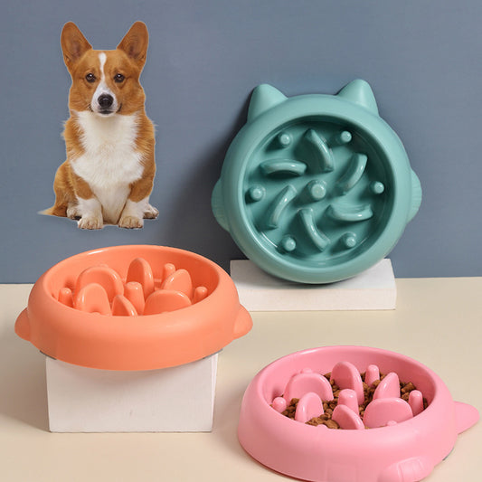 Gamelle Anti-Glouton pour Chiens et Chats – Mangeoire Interactive Anti-Vomissements et Anti-Etouffement
