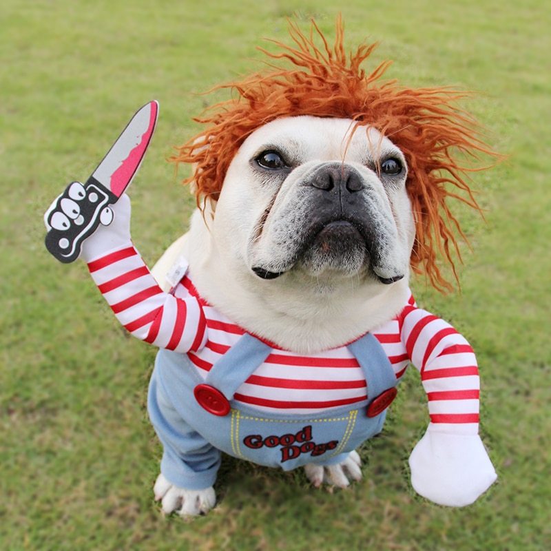 Déguisement d’Halloween pour Chiens et Chats – Costume Drôle et Réglable pour Fêtes et Cosplay