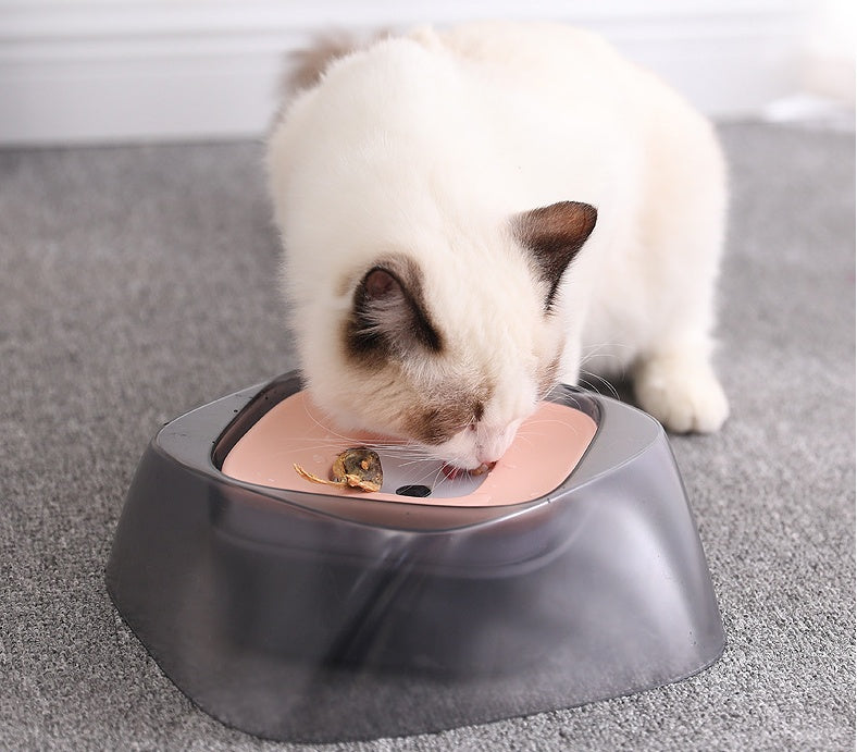 Bol d’Eau Anti-Éclaboussures pour Chiens et Chats – Design Flottant et Anti-Débordement