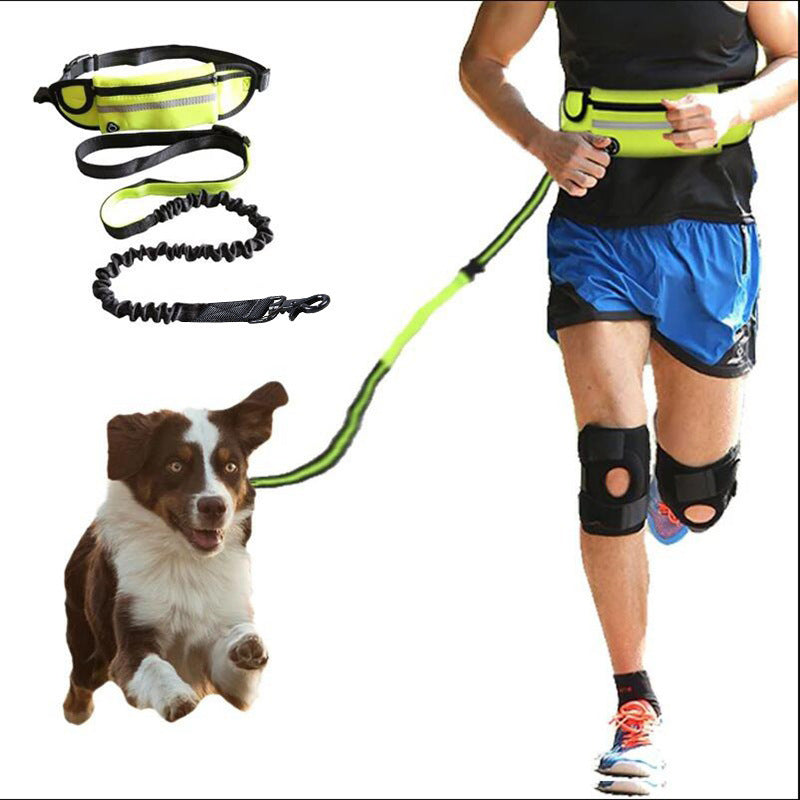 Laisse Mains Libres avec Ceinture pour Chien – Ceinture de Marche et d’Entraînement avec Amortisseur, Poche Téléphone et Porte-Gourde