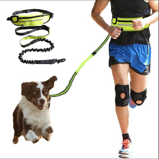 Laisse Mains Libres avec Ceinture pour Chien – Ceinture de Marche et d’Entraînement avec Amortisseur, Poche Téléphone et Porte-Gourde