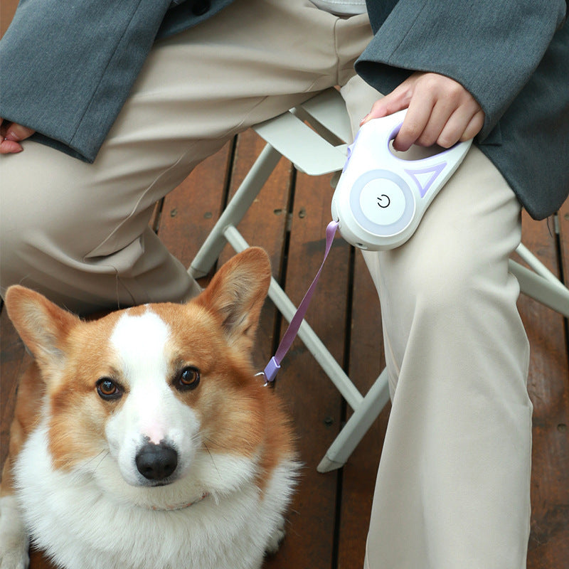 Laisse Rétractable avec Collier Intégré – Traction Automatique pour Chiens et Chats