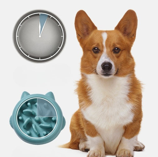 Gamelle Anti-Glouton pour Chiens et Chats – Mangeoire Interactive Anti-Vomissements et Anti-Etouffement
