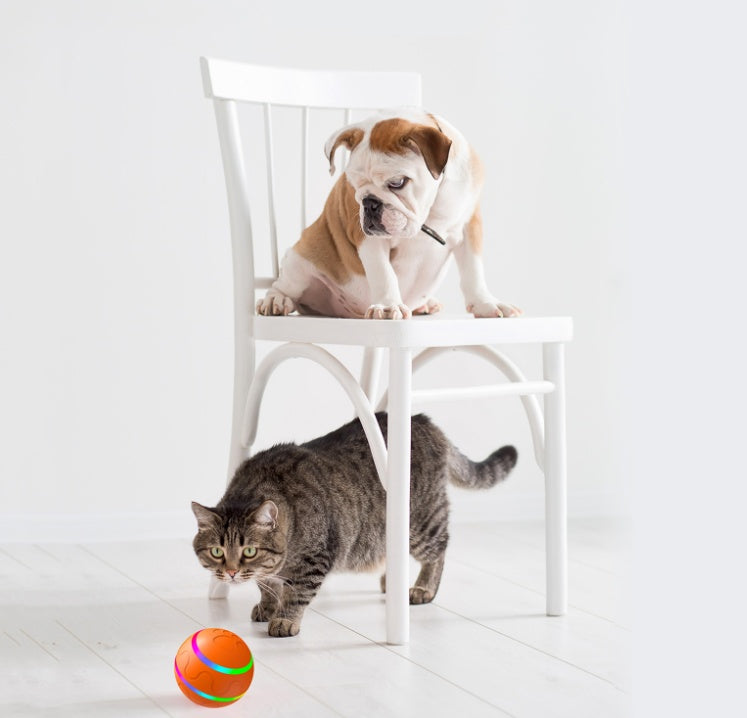 Balle Intelligente Interactive pour Chat – Rotation Automatique, Rechargeable USB, Antichoc et Étanche
