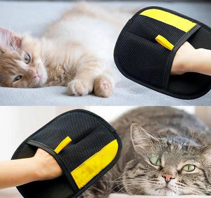 Gant Anti-Poils pour Chats – Artifact de Nettoyage Efficace | Confort & Hygiène