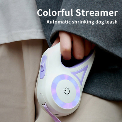 Laisse Rétractable avec Collier Intégré – Traction Automatique pour Chiens et Chats